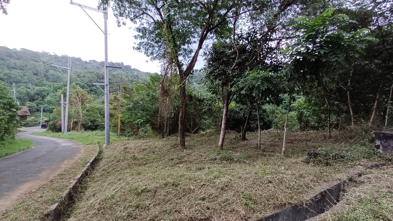1,362 SQM Corner Lot for Sale in Timberland Heights, San Mateo Rizal | Mountain & Forest Views