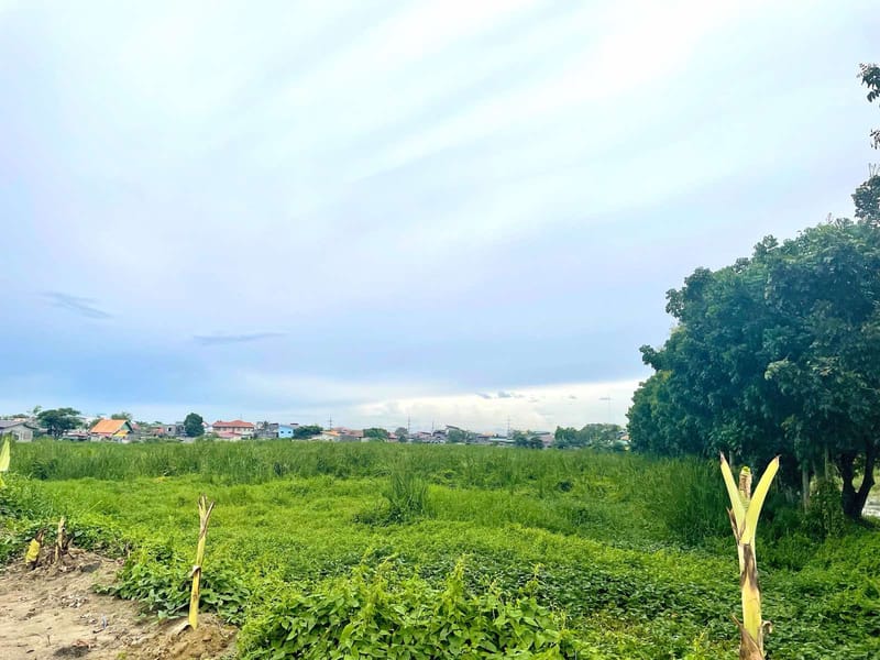 24,038 SQM Development Land for Sale in Sampaloc, Apalit, Pampanga | Ideal for Subdivision or Land Banking